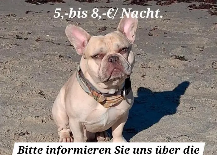 Kleiner Leuchtturm Apartment Ostseebad Kühlungsborn